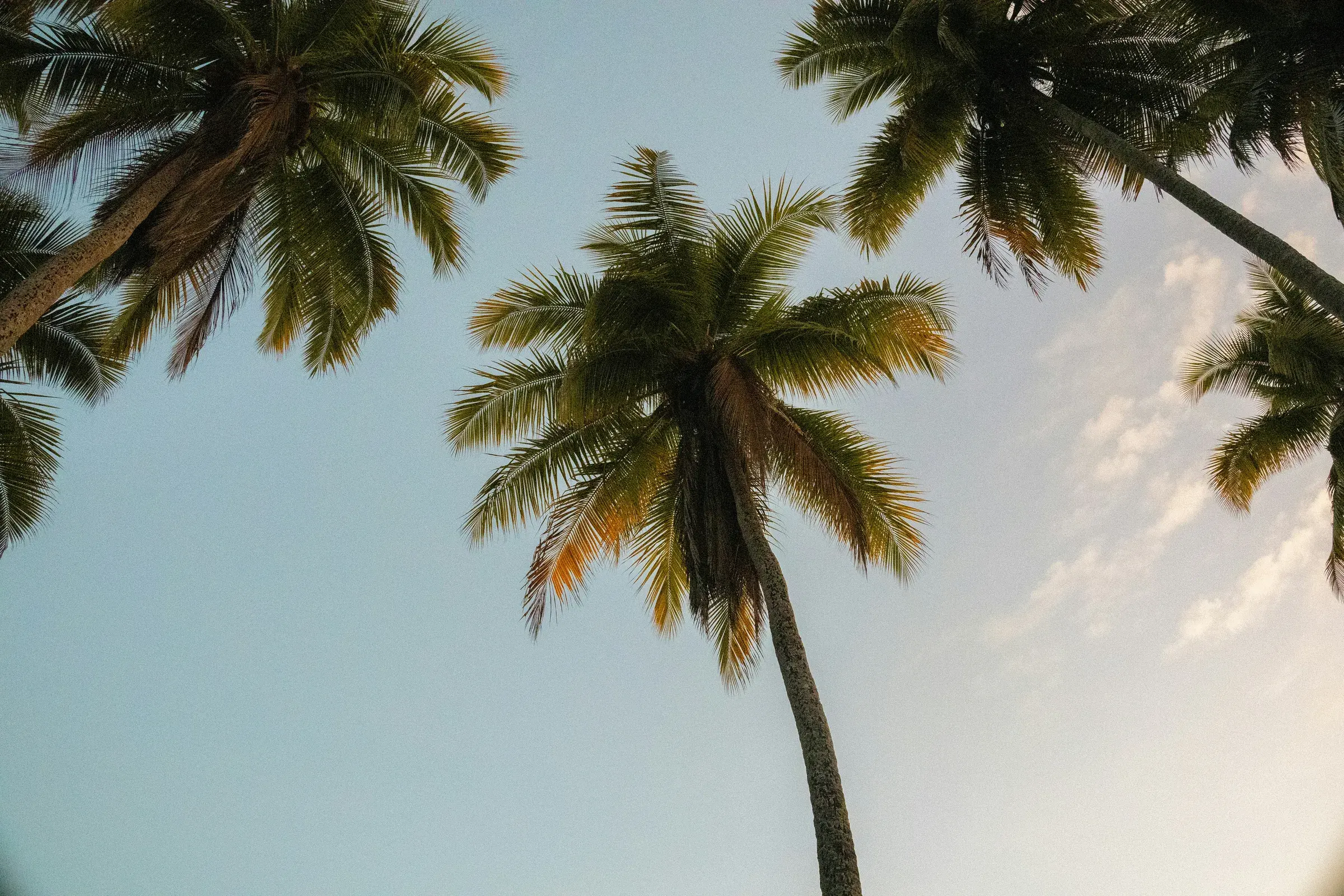 dennis epema WOBndJjvgo4 unsplash